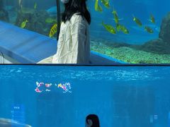 -福州罗源湾海洋世界旅游区