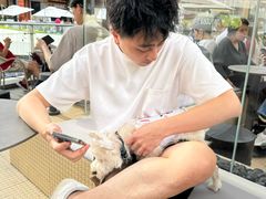 -BeauTea水仙(coco park店)