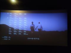 -万达影城(汉街万达广场IMAX店)