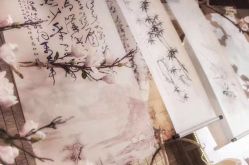 -忆江南婚礼策划(姑苏店)