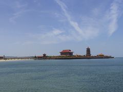 -宾朋海鲜美食特色餐厅·纯手工鲅鱼水饺(兴海路店)