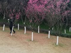 -重庆彩云湖湿地公园