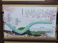 -桃花堤公园