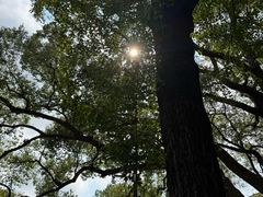 -普陀山风景名胜区-法雨禅寺