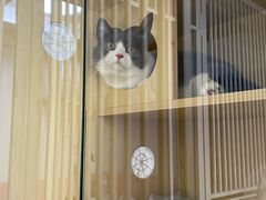 -猫苑生活馆