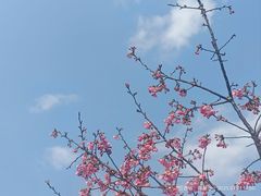 -凤凰沟景区