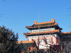 -中国紫檀博物馆