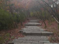 -长春市南湖公园