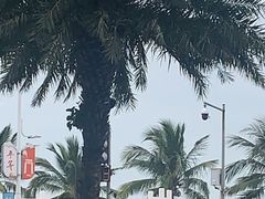 -星巴克(珠海仁恒滨海中心店)