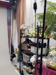 -FX摄影工作室(中关村店)