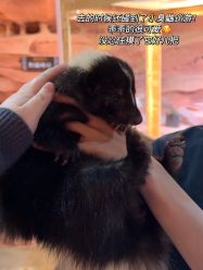 -Zoolung Zoolung动物主题公园(海信广场店)