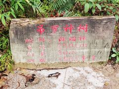 -海南热带雨林国家公园吊罗山景区