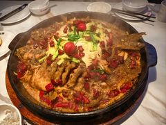 -老板恋上鱼(高新万达店)