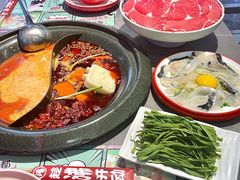 水牛奶冬阴功红油辣锅双拼-生活如沸·顺德水牛奶火锅(大学路店)