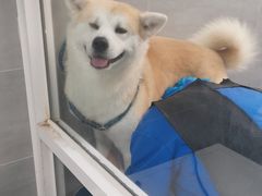 -宠福鑫康馨动物医院·骨科·眼科