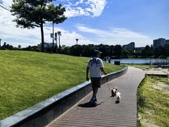 -美兰湖景区