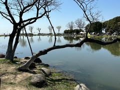 -滆湖低碳生态公园