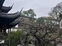 -豫园