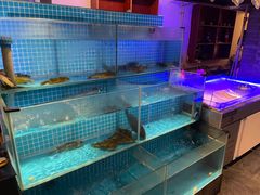 水产区-鲁城往事(游客中心店)