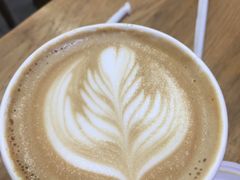 -Seeking Coffee咖啡(新竹路店)