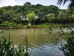 -新江湾城公园