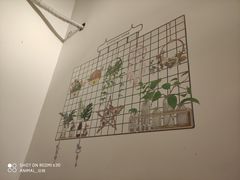 大堂-青春分食(仙林大学城店)