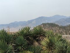-崂山巨峰游览区
