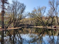 -上海共青森林公园