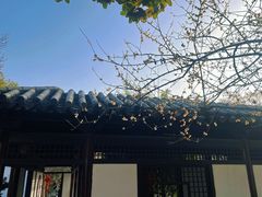 -常熟方塔园