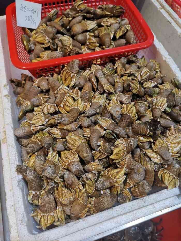 厨缘海鲜-"总体来说.味道还是不错的.鸡很好吃.很入."-大众点评移动版