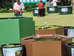 -云溪植物园