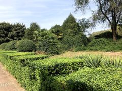 -洛阳市隋唐城遗址植物园
