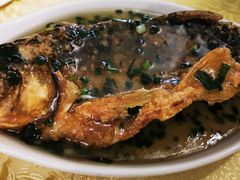 葱油鱼-粤友餐厅