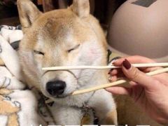 -喜家德虾仁水饺(凯德店)
