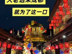 -小龙翻大江文化火锅(宽窄店)