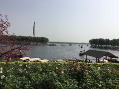-白洋淀景区