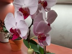 -二酉书店TOYOU BOOKS