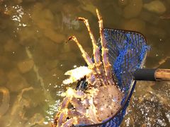 -綱元·海鲜豆捞(明州里店)