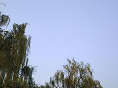 -悦真雅院·四合院·清真私房菜(雍和宫店)