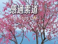 -苍山感通索道