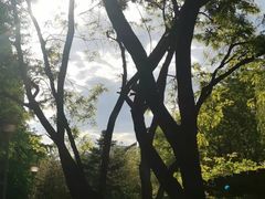 -北京市劳动人民文化宫(太庙)