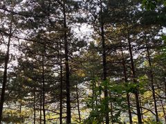 -北京密云天门山风景区