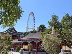 -天津大悲禅院