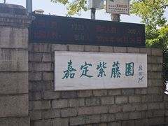 -嘉定紫藤园