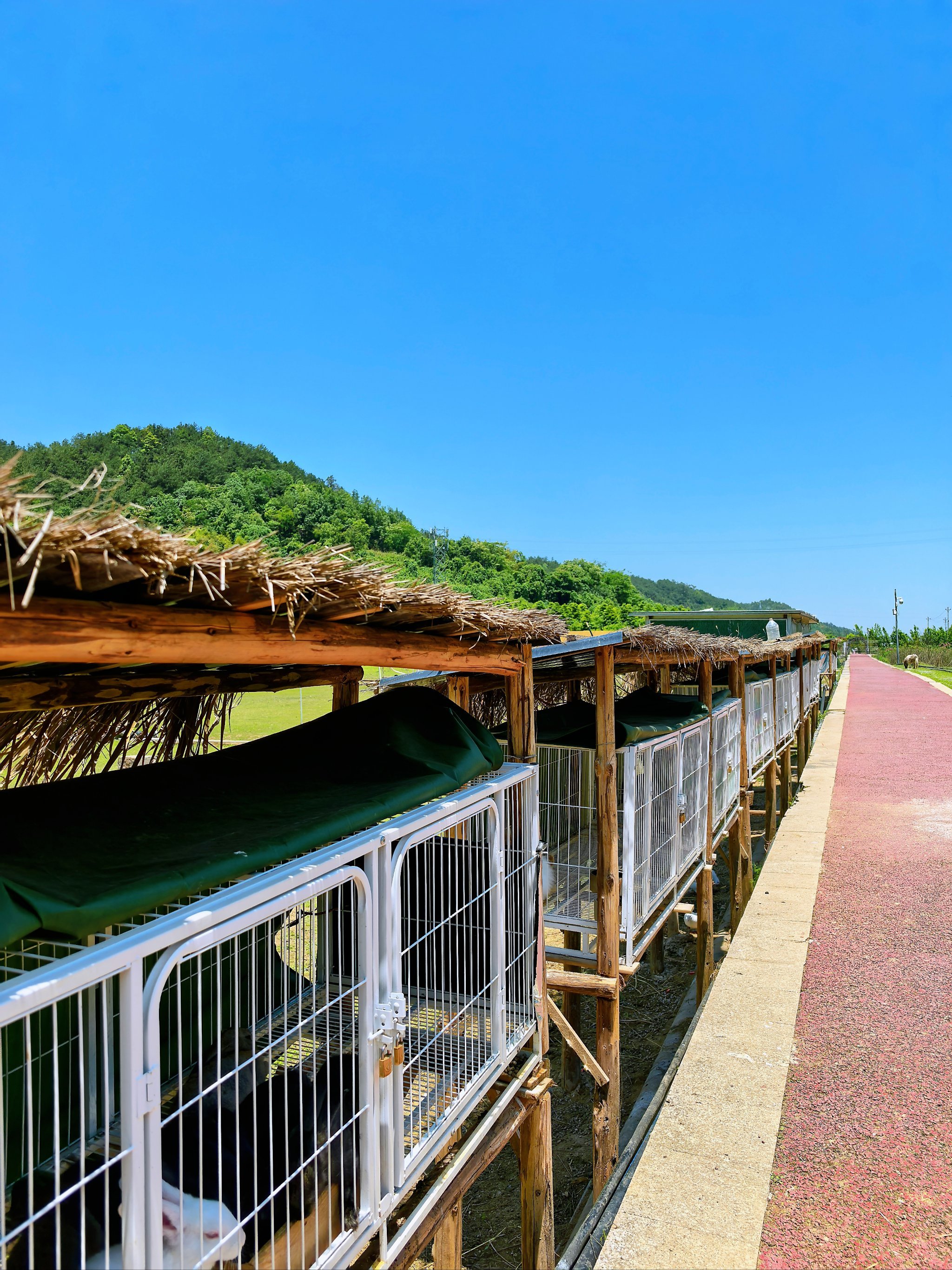 重庆周边游,一个藏在山里的宝藏小众地