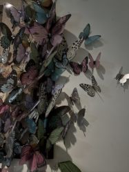 -鲸彩·美甲美睫科技护肤