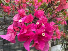 -广州神农草堂中医药博物馆