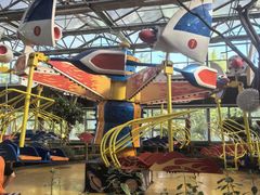 -南宫五洲植物乐园