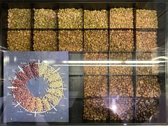 -野鸽子咖啡(航空路店)