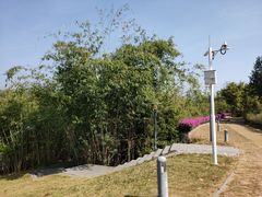 -中国移动南方基地